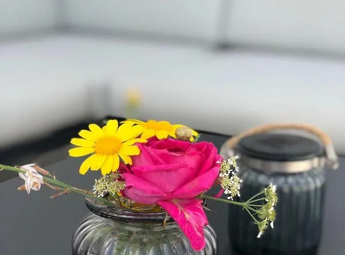 Ellavis Διαμέρισμα Βις