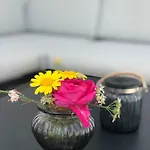 Ellavis Apartamento Vis