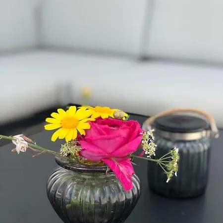 Ellavis Apartament Vis