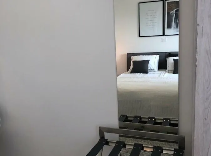 Ellavis