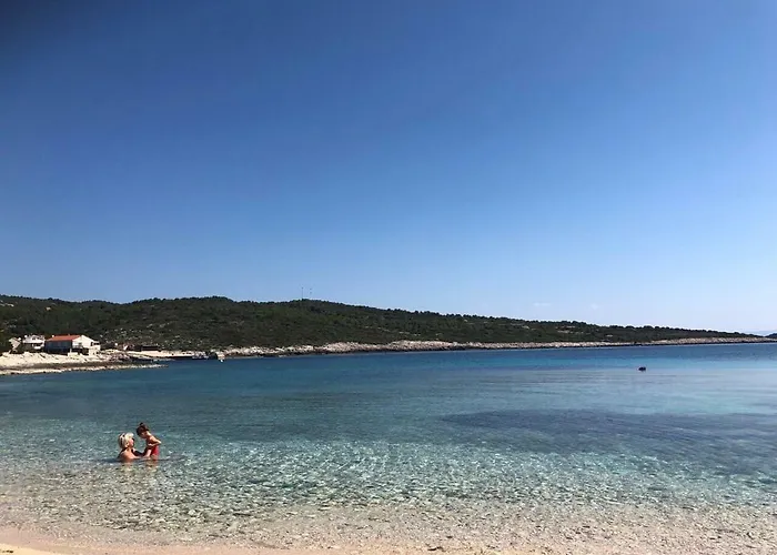 Ellavis Vis