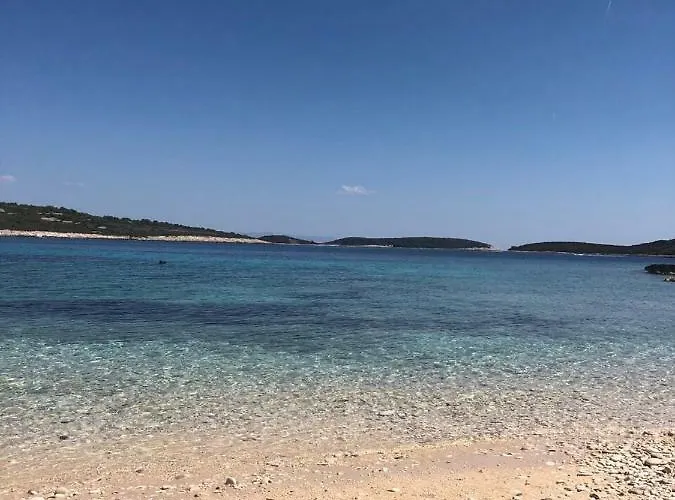 Ellavis Vis